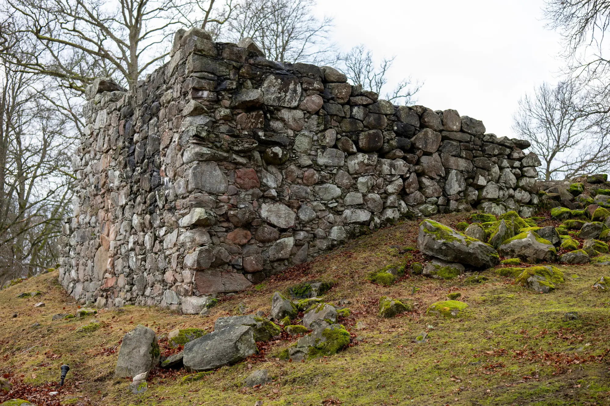 A rubble stone wall leaning on a mossy slope among bare trees